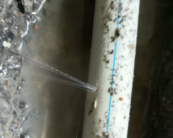 龙泉驿卫生间测漏水多少钱