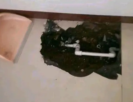 龙泉驿卫生间测漏水多少钱